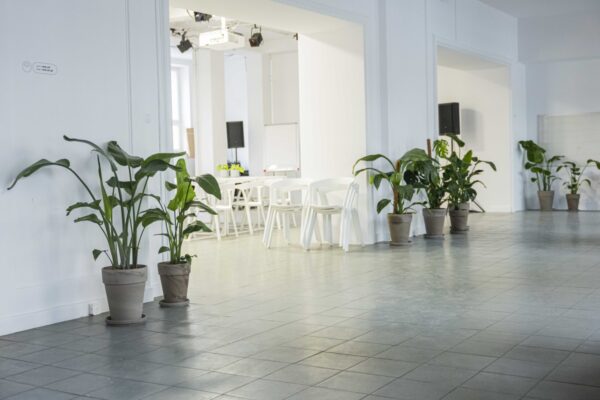 pusta przestrzeń WOK Lab, przy ścianach stoją duże zielone rośliny, w tle stoją białe krzesła