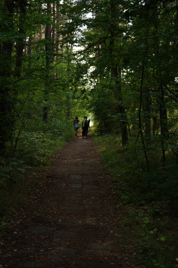 02W las_fot. Milena Soporowska