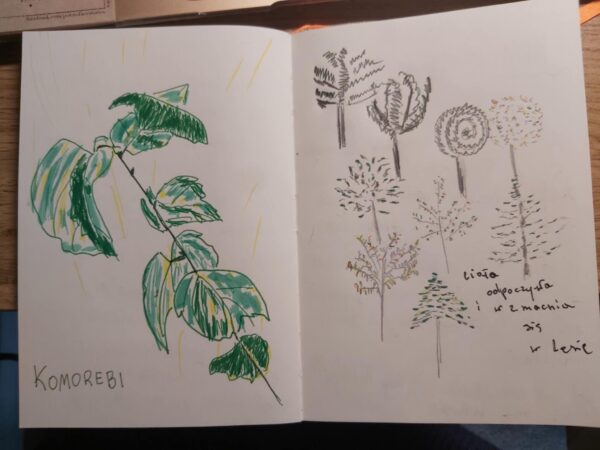 14-1 (przeciągnięte)